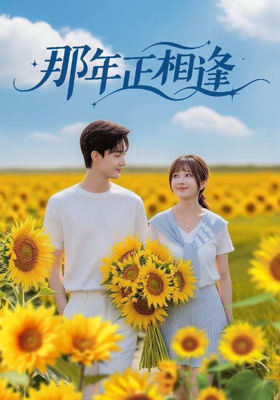 爆笑字母美食大挑战的海报