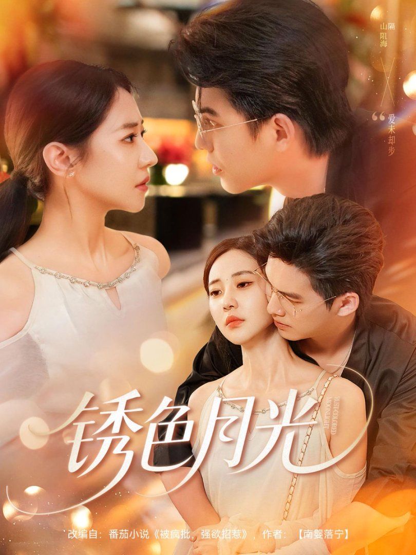 裸婚之后 TV版的海报