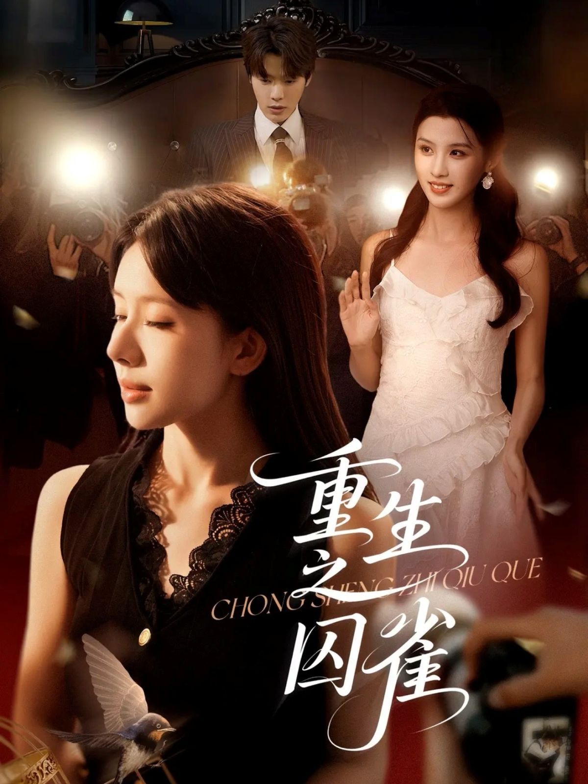 恰同学少年DVD版的海报