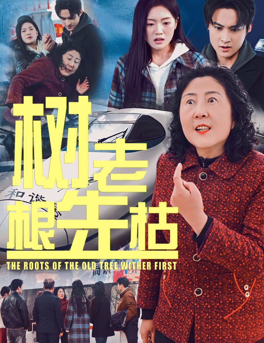 树老根先枯的海报