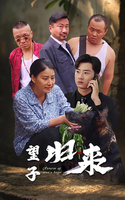 望子归来的海报