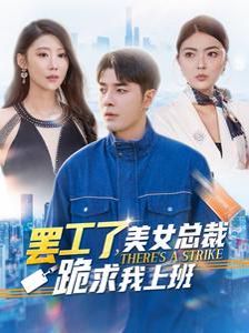 罢工了美女总裁跪求我上班的海报