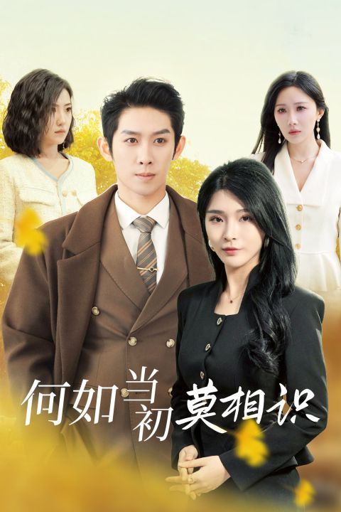 何如当初莫相识的海报