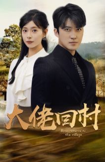 大佬回村的海报