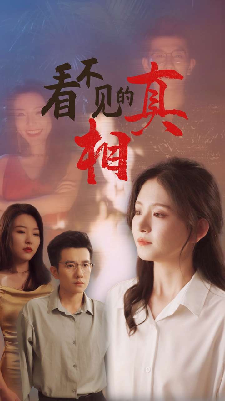 看不见的真相的海报