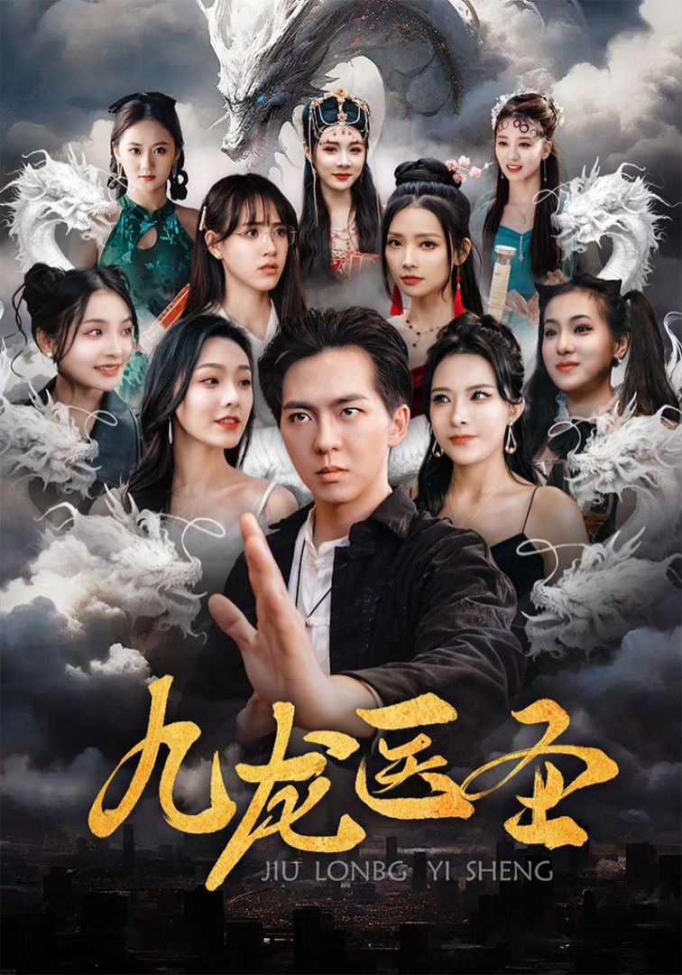 九龙医圣的海报