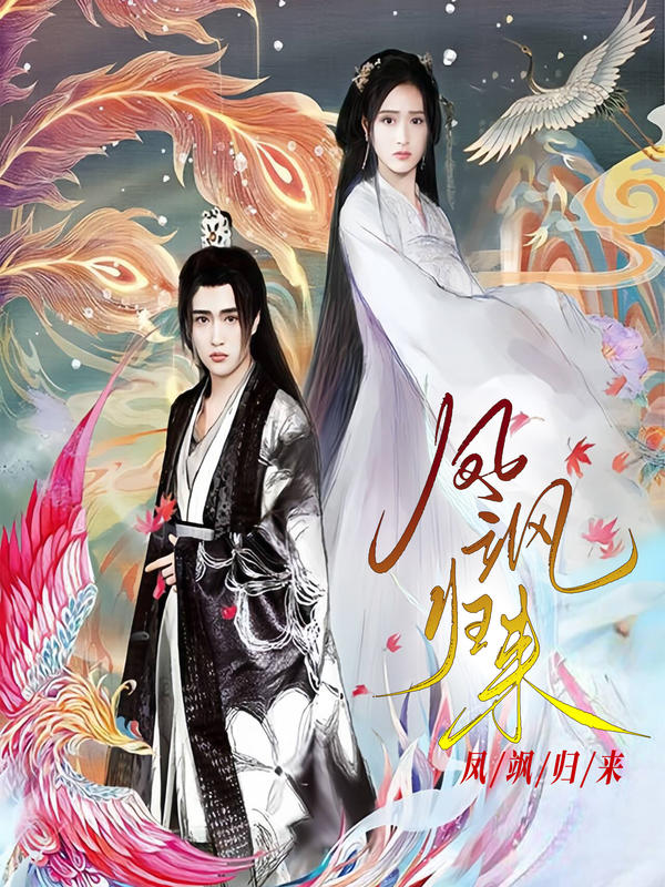 凤飒归来的海报
