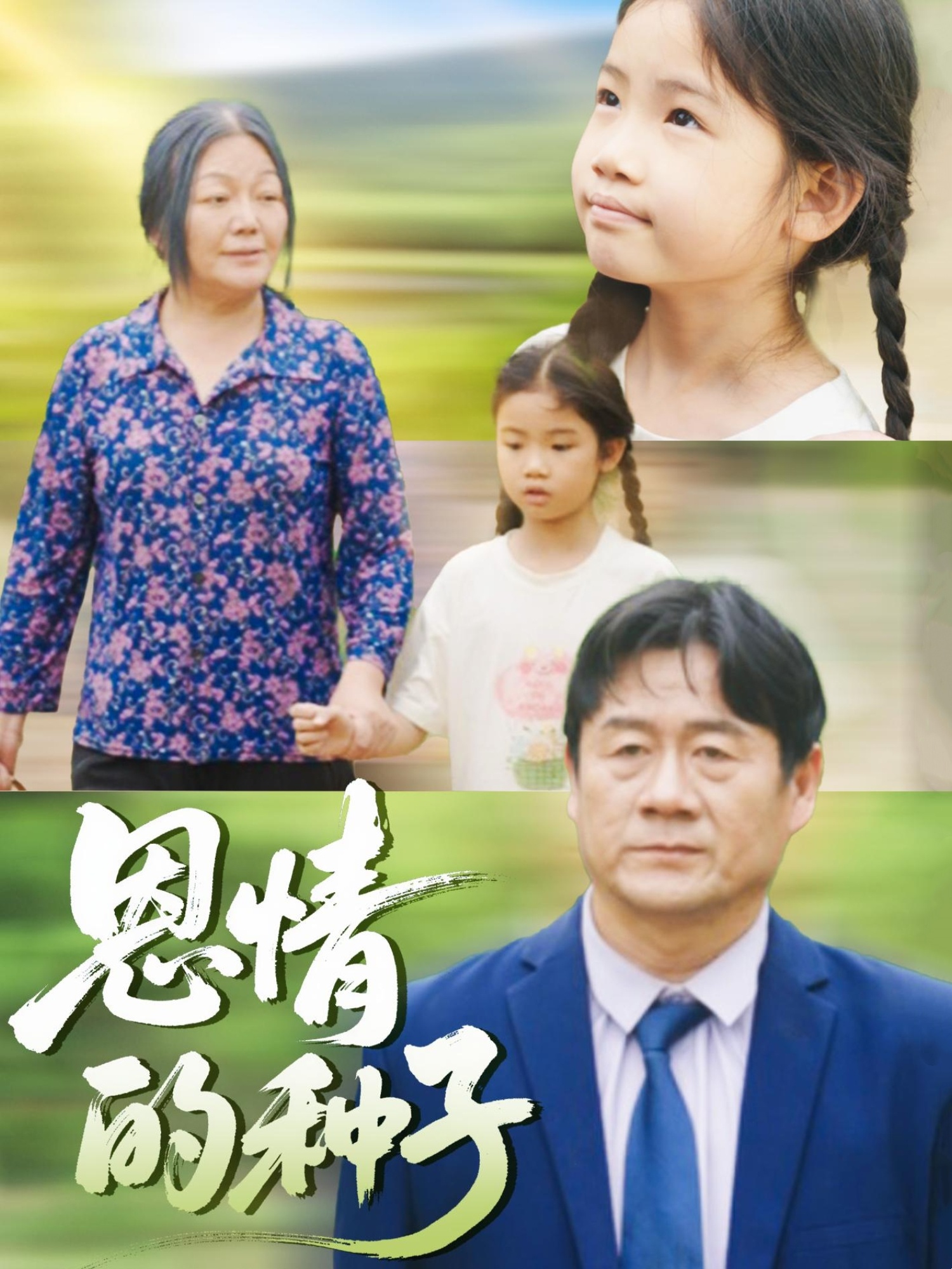 恩情的种子的海报