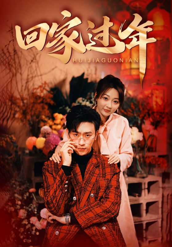 回家过年的海报