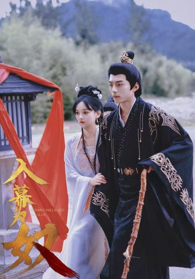 入幕为奴的海报